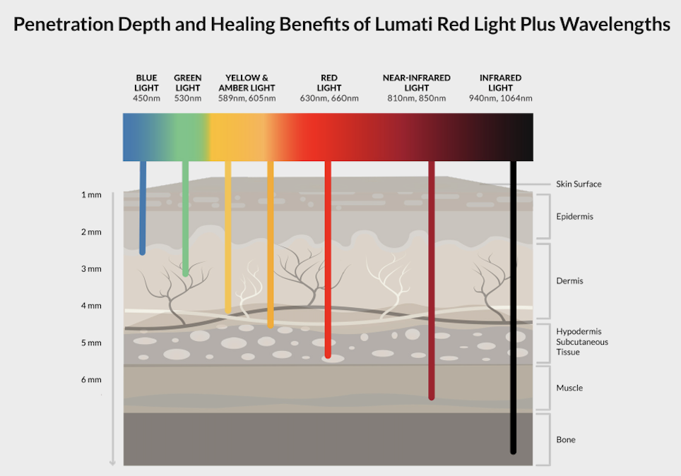 Penetration depth chart of the Lumati Light Therapy bed